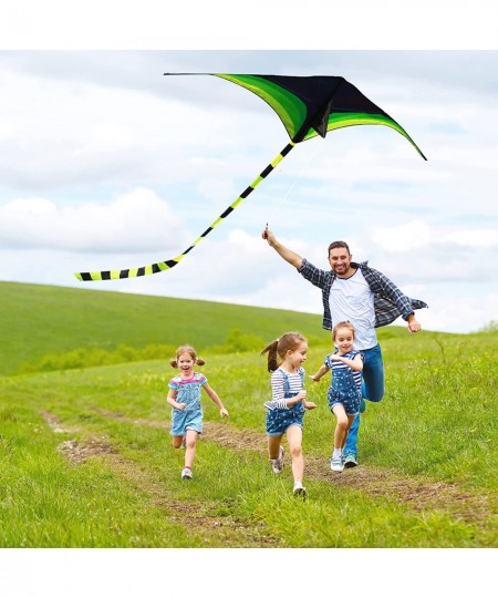 Green Kite - Beautiful and Easy Flyer Kite for Children and Adult with Long Colorful Tail String Line Accessories Easy to Soa...