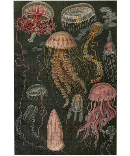 Jellyfish Jigsaw Puzzles for Adults 500 Piece Adult Children Intellective Educational Toy DIY Home Decoration $38.15 - Jigsaw...