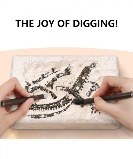 Dinosaur Fossil Digging Kit for Kids Dinosaur Eggs Excavation Kit Dino Fossil Dig Kit Great STEM Science Kit Gifts $49.69 - E...