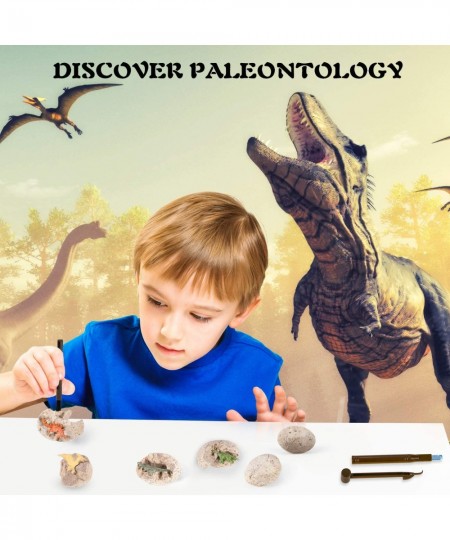 Dinosaur Fossil Digging Kit for Kids Dinosaur Eggs Excavation Kit Dino Fossil Dig Kit Great STEM Science Kit Gifts $49.69 - E...