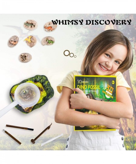 Dinosaur Fossil Digging Kit for Kids Dinosaur Eggs Excavation Kit Dino Fossil Dig Kit Great STEM Science Kit Gifts $49.69 - E...