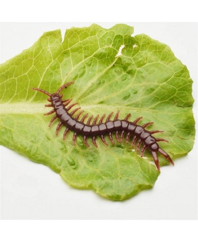 20pcs/Set Imitation Insects Fake Centipede Toys Realistic Bugs Prank Joke Gift for April Fools Day Scary Mischief Halloween P...