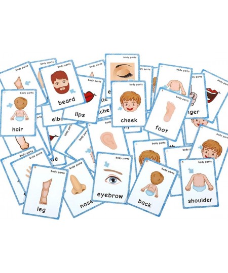 36Pcs/Set Body Parts Child Flash Cards Learning Toys English Baby Card Kids Gifts Pre-Kindergarten with Ring $27.32 - Educati...