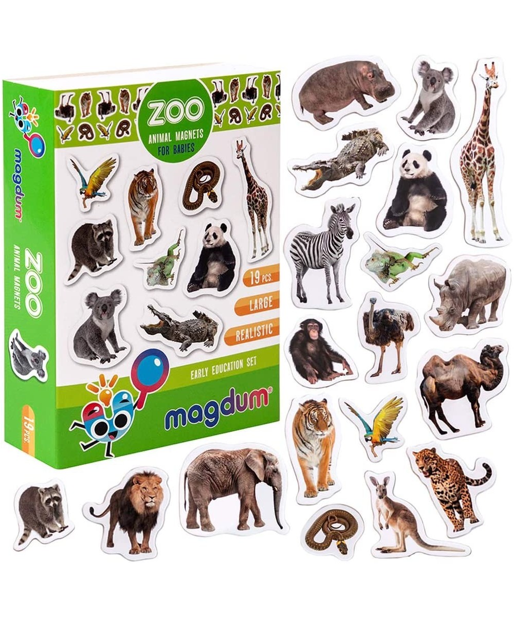 Zoo Photo Fridge Magnets for Toddlers Animal Magnets - LARGE Kids Magnets - Fridge Magnets for Kids Refrigerator Magnets for ...