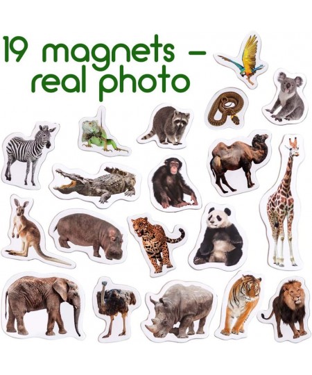 Zoo Photo Fridge Magnets for Toddlers Animal Magnets - LARGE Kids Magnets - Fridge Magnets for Kids Refrigerator Magnets for ...