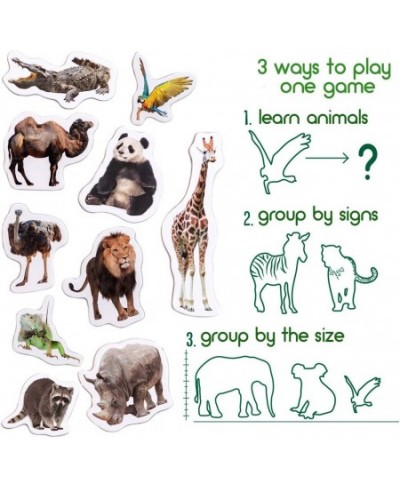 Zoo Photo Fridge Magnets for Toddlers Animal Magnets - LARGE Kids Magnets - Fridge Magnets for Kids Refrigerator Magnets for ...