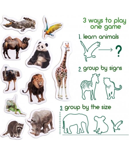 Zoo Photo Fridge Magnets for Toddlers Animal Magnets - LARGE Kids Magnets - Fridge Magnets for Kids Refrigerator Magnets for ...