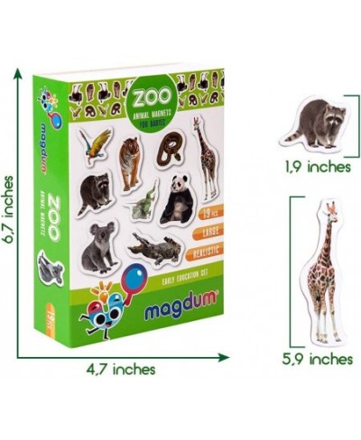 Zoo Photo Fridge Magnets for Toddlers Animal Magnets - LARGE Kids Magnets - Fridge Magnets for Kids Refrigerator Magnets for ...