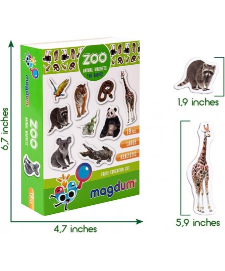 Zoo Photo Fridge Magnets for Toddlers Animal Magnets - LARGE Kids Magnets - Fridge Magnets for Kids Refrigerator Magnets for ...