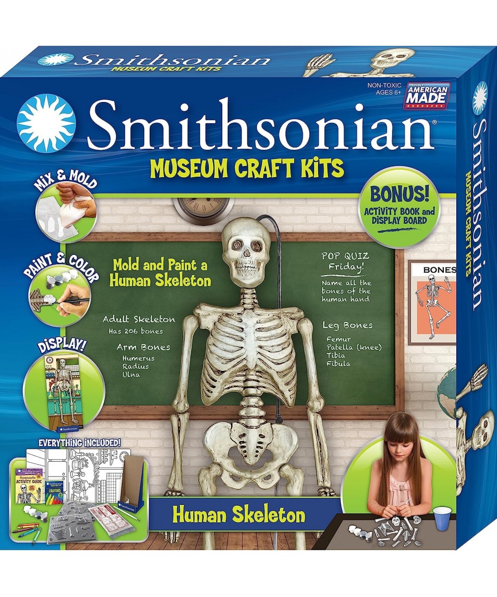 18" Human Skeleton Perfect Cast Museum Cast Paint Display and Learn Craft Kit $37.91 - Educational Science Kits