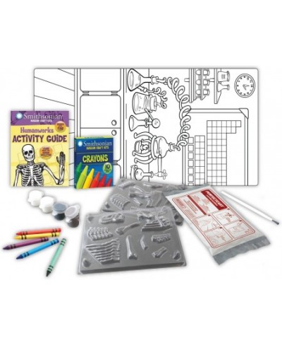 18" Human Skeleton Perfect Cast Museum Cast Paint Display and Learn Craft Kit $37.91 - Educational Science Kits