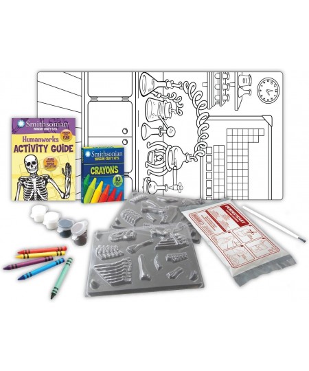 18" Human Skeleton Perfect Cast Museum Cast Paint Display and Learn Craft Kit $37.91 - Educational Science Kits