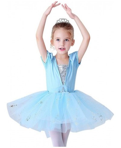 Princess Leotards for Girls Ballet Dance Tutu Skirted Ballerina Dress Birthday Fancy Party Halloween Costumes $21.02 - Kids' ...