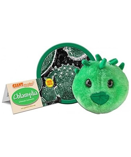 GIANTmicrobes Chlamydia Plush - Learn All About STIs Educational Gift for Friends Scientists Family Healthcare Experts Public...