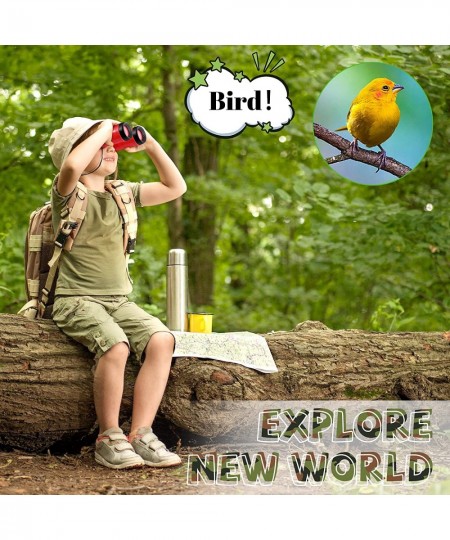 25 Pack Binoculars for Kids 3 5 7 8 12 Years Old with Compass and Neck String Toddler Toy Binoculars Gift Set for Camping Adv...