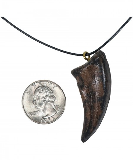 Gorgosaurus Dinosaur Claw Pendant Necklace (344-4) $45.58 - Early Development & Activity Toys