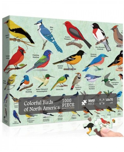 Bird Puzzles for Adults 1000 Pieces and Up Hummingbird Puzzle Featuring 40 Colorful Birds of North America Animal Jigsaw Puzz...