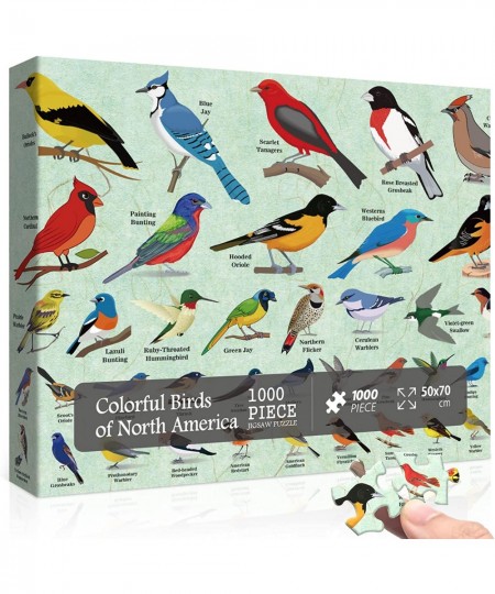 Bird Puzzles for Adults 1000 Pieces and Up Hummingbird Puzzle Featuring 40 Colorful Birds of North America Animal Jigsaw Puzz...