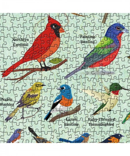 Bird Puzzles for Adults 1000 Pieces and Up Hummingbird Puzzle Featuring 40 Colorful Birds of North America Animal Jigsaw Puzz...