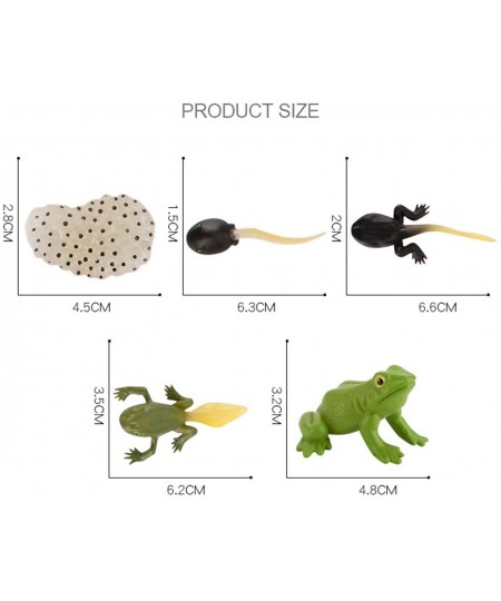 Tadpole Frog Kit Frog Life Cycle Toys Plastic Grow Frogs Fake Frog Figure Frog Toy Toddler Frogs Kids Learning Educational Ai...