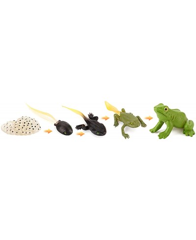 Tadpole Frog Kit Frog Life Cycle Toys Plastic Grow Frogs Fake Frog Figure Frog Toy Toddler Frogs Kids Learning Educational Ai...