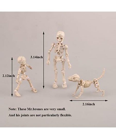 Eonthry 3pcs Cute Fashion Design Mr. Bones Mini Pose Skeleton Model Decorations with Dog Mini Action Figure Collectible Shoot...