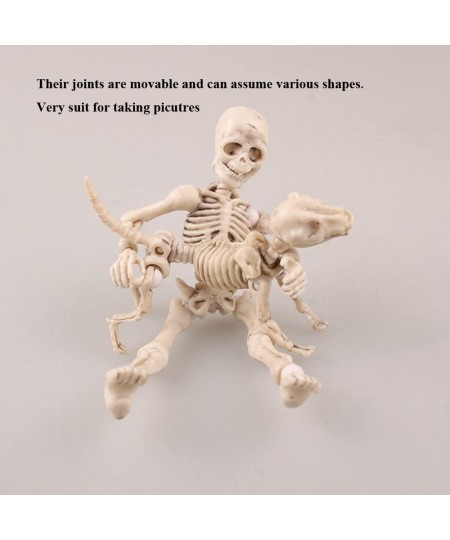 Eonthry 3pcs Cute Fashion Design Mr. Bones Mini Pose Skeleton Model Decorations with Dog Mini Action Figure Collectible Shoot...