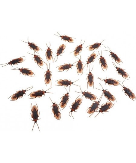 30 PCS Fake Plastic Cockroach Novelty Roaches Bugs Realistic Insects Party Prank $15.45 - Gags & Practical Joke Toys