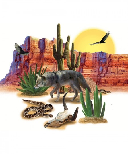 Wild West Desert Props Wall Decorations 5 – 52 Inch 29 Pieces (Pack of 1) $21.20 - Kids' Party Decorations