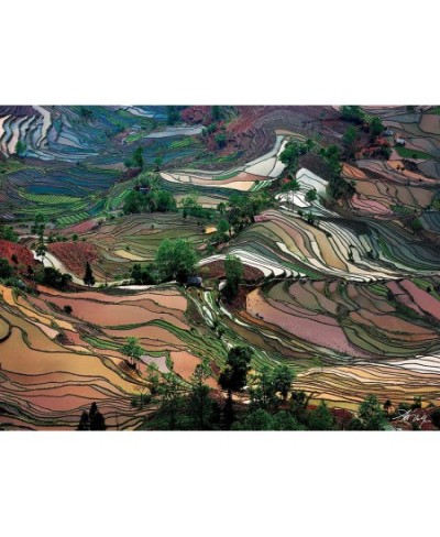 Jigsaw Puzzle Art Wolfe Photographer: Rice Terraces 1 000 Pieces 20" x 27" - with Exclusive Book - Great for Photography & Na...