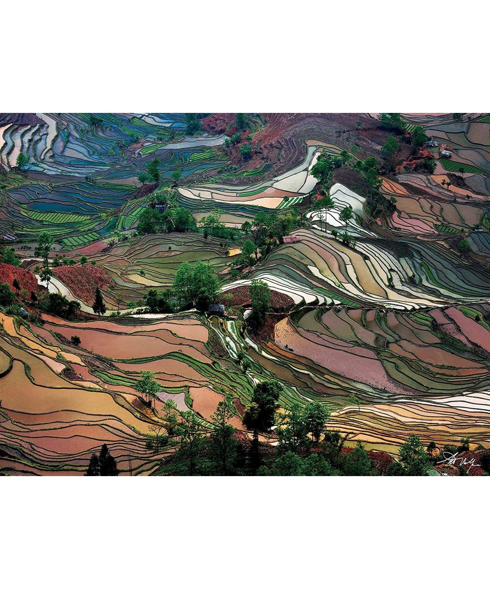 Jigsaw Puzzle Art Wolfe Photographer: Rice Terraces 1 000 Pieces 20" x 27" - with Exclusive Book - Great for Photography & Na...