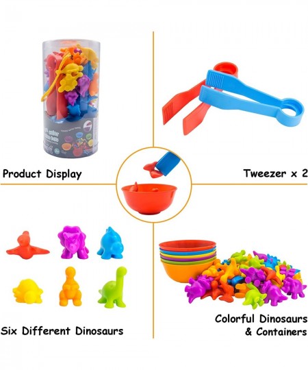 Dinosaur Counting Learning Activity Set with Matching Sorting Bowls for Toddlers Ages 3-4 Color Classification and Sensory Tr...