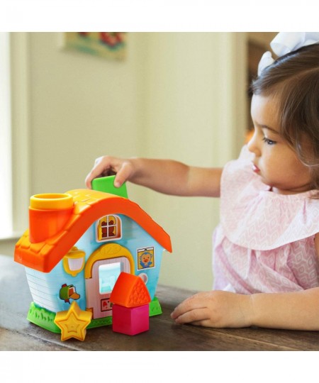 Shape Sorting House Toy My First House with Shape and Color Sorters Early Development Shape and Color Recognition Toy with 5 ...