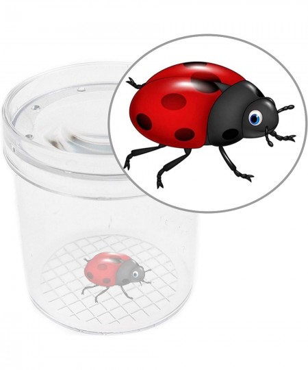 8 Pieces Bug Viewer Critter Insect Cage Magnifying Insect Box Bug Magnifier Container Bug Catcher Cage Science Nature Explora...