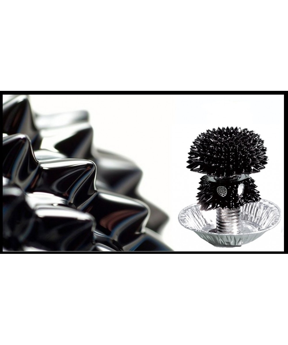 Ferrofluid Bolt Kit $81.37 - Educational Science Kits