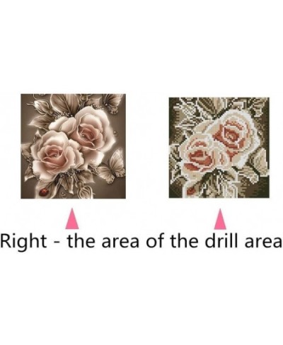 Hot New DIY 5D Diamond Painting Kits Full Drill Diamond Embroidery Painting Pasted Paint by Number Kit Stitch Craft Kit Home ...