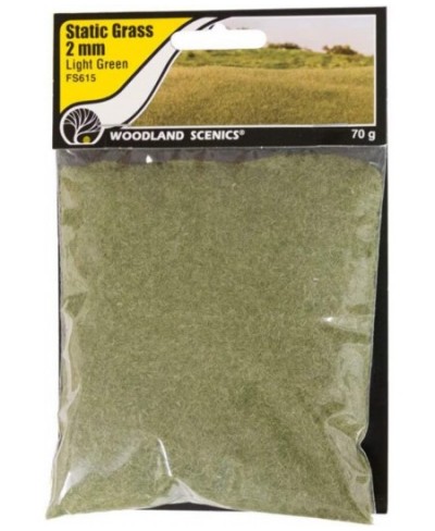 Woodland Scenic Static Grass 2mm-Light Green -FS615 $16.53 - Toy Vehicle Playsets