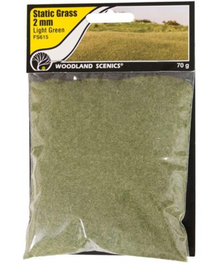 Woodland Scenic Static Grass 2mm-Light Green -FS615 $16.53 - Toy Vehicle Playsets