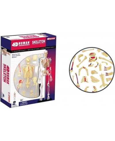 4D VISIONS MODELS Visible Human Skeleton Anatomy Kit One Color $43.36 - Educational Science Kits