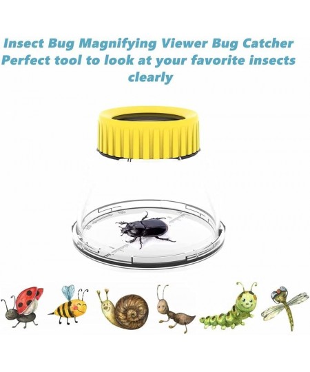 Bug Magnifying Viewer 3X Magnifying Insect Observation Kit Built-in 7cm Ruler with 2 Slant Tweezers Blue & Red Color Bug View...