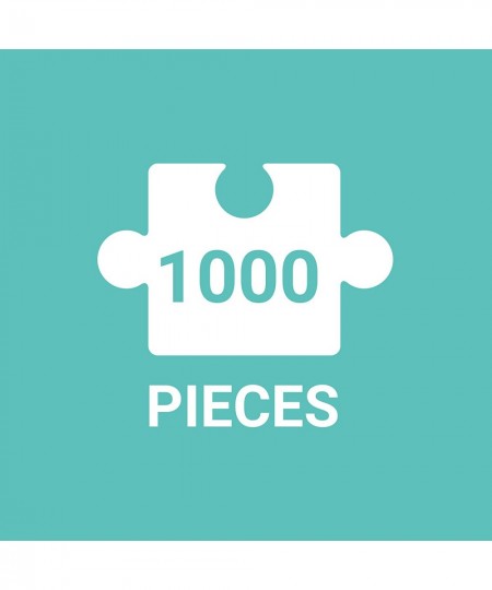 Curiosities 1000 Piece Puzzle in Square Box from - 27" x 20" Beautifully Illustrated Puzzle Thick and Sturdy Pieces Fun and C...