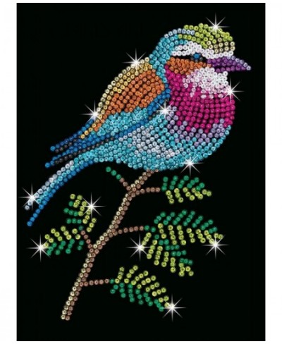 Lilac Breasted Roller Design from The Blue Range 28 x 37 cm Multicolor (5528913) $34.96 - Kids' Drawing & Writing Boards