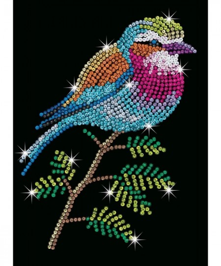 Lilac Breasted Roller Design from The Blue Range 28 x 37 cm Multicolor (5528913) $34.96 - Kids' Drawing & Writing Boards