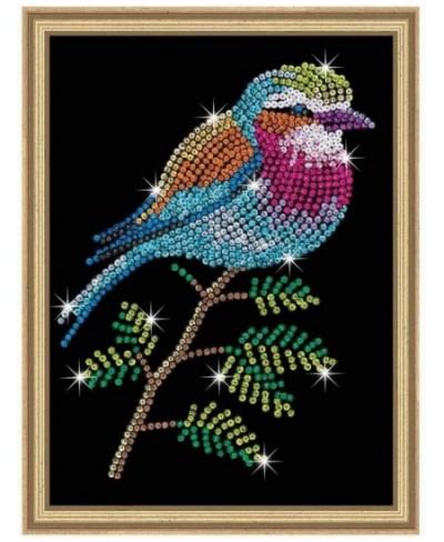 Lilac Breasted Roller Design from The Blue Range 28 x 37 cm Multicolor (5528913) $34.96 - Kids' Drawing & Writing Boards