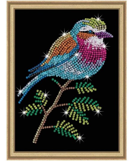 Lilac Breasted Roller Design from The Blue Range 28 x 37 cm Multicolor (5528913) $34.96 - Kids' Drawing & Writing Boards