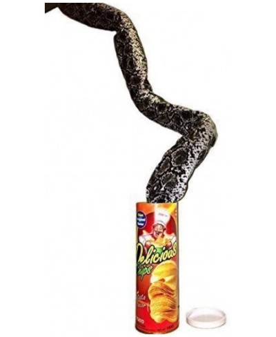 1 Pack The Potato Chip Snake Can Jump Spring Snake Toy Gift April Fool Day Halloween Party Decoration Jokes in A Can Gag Gift...