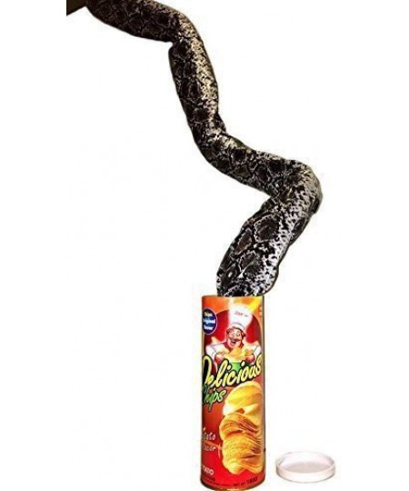 1 Pack The Potato Chip Snake Can Jump Spring Snake Toy Gift April Fool Day Halloween Party Decoration Jokes in A Can Gag Gift...