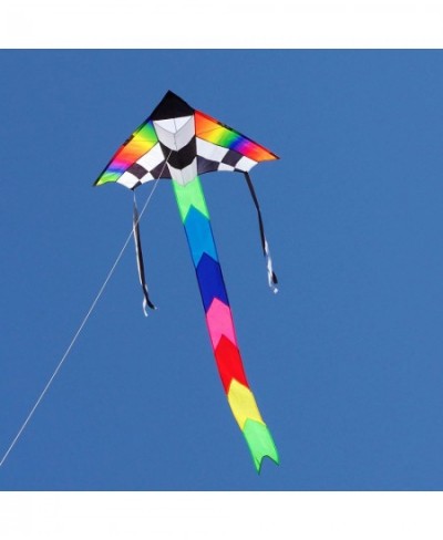 Champion Delta Kite $63.24 - Kites & Wind Spinners