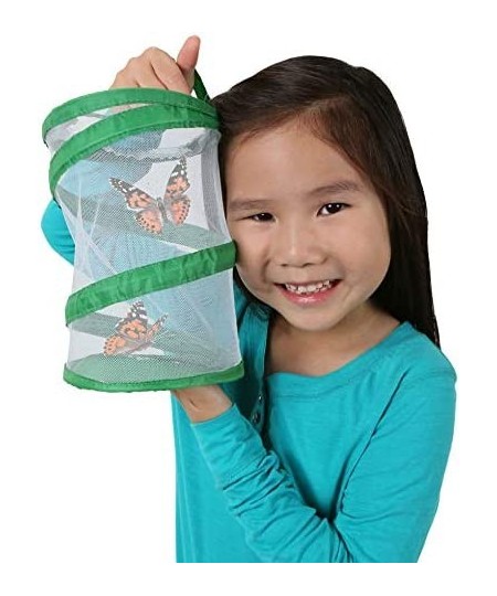 - Mini Butterfly Habitat Insect Mesh Cage Pop Up Port A Bug Terrarium 6" x 8" Tall (Pack of 4) $36.52 - Habitat Science Kits