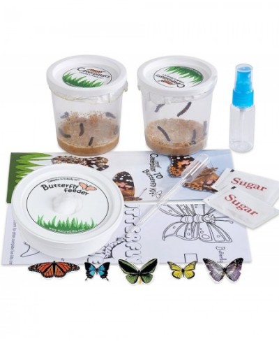 Live Butterfly Growing Kit: Shipped with 10 Live Caterpillars Now Pop-Up Cage Book and Stickers Bundle $78.42 - Habitat Scien...